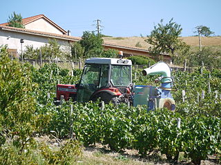 Pesticides : les pouvoirs publics doivent agir !