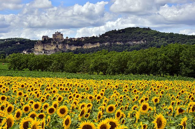 Contournement de Beynac-et-Cazenac : un nouveau projet inutile et contreproductif