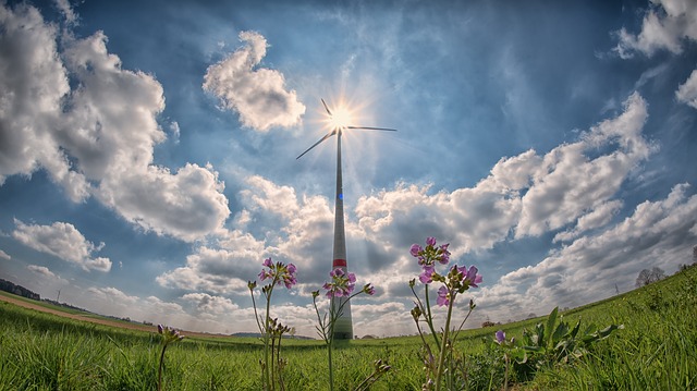 Séminaire éolien et biodiversité 🗓