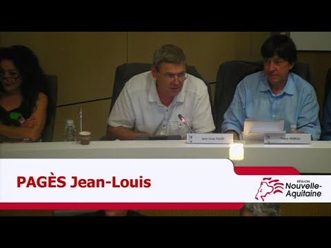 Intervention de Jean-Louis Pagès sur la feuille de route de soutien à l’économie numérique en Nouvelle-Aquitaine