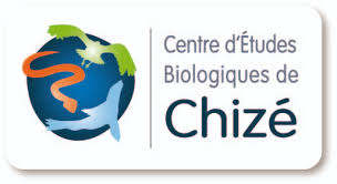 Colloque pollinisateurs – Centre d’études biologique de Chizé 🗓