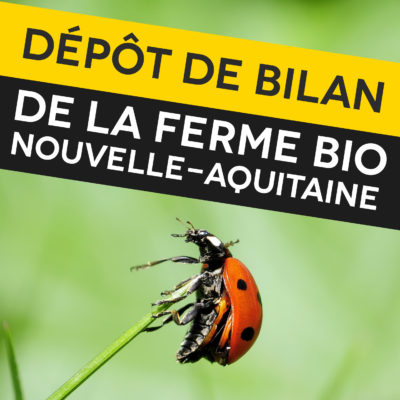 Aides à l’agriculture biologique : une manifestation à Limoges contre l’État tartuffe