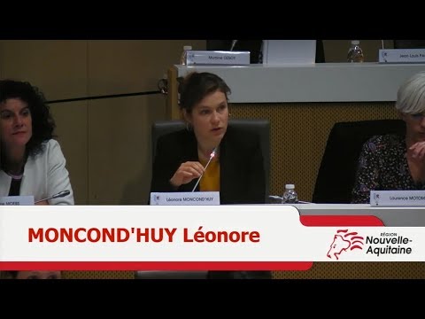 Propos liminaires de Léonore Moncond’huy en séance plénière du 4 mars 2019