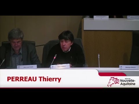 Stratégie ruralité et plan d’action en faveur de la ruralité en Nouvelle-Aquitaine : gouvernance-appel à projets ruralité 2019-2021