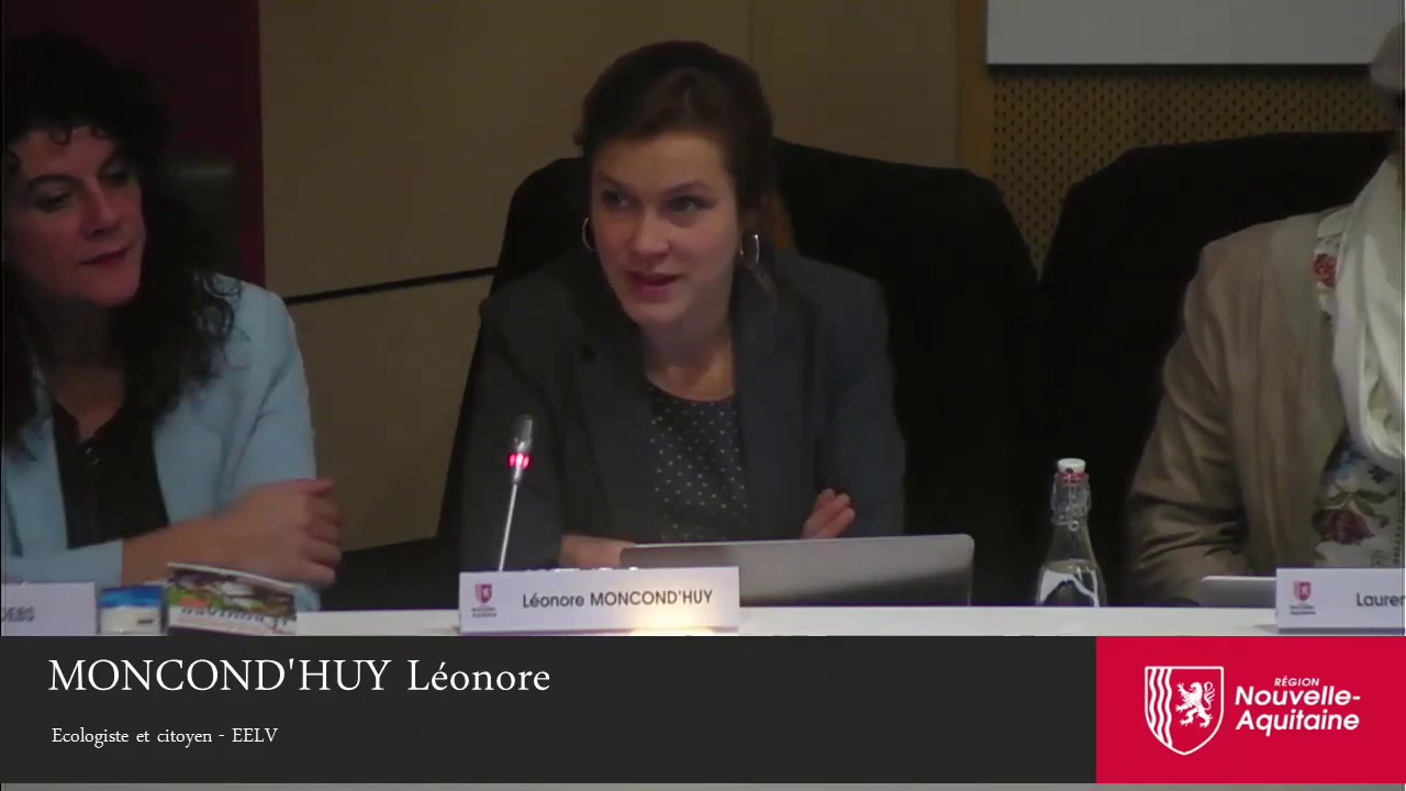 Intervention de Léonore Moncond’huy en séance plénière du 16 décembre 2019