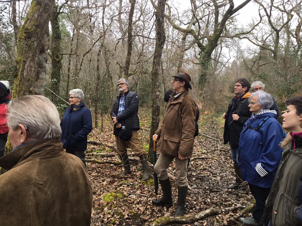 Journée sylviculture irrégulière à couvert continu – Laurence Motoman & Alice Leiciagueçahar 🗓