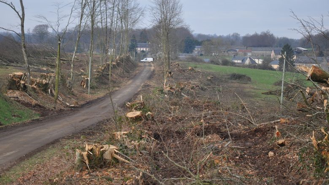 Pendant le Covid, le massacre de l’environnement continue