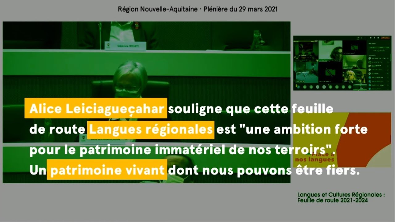 Intervention de Alice Leiciagueçahar : langues et cultures régionales – Feuille de route 2021-2024